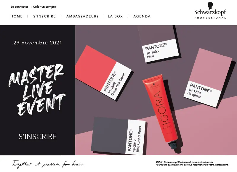 site-web-schwarzkopf-professional-pantone